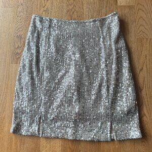 Love on a Hanger Sequin Skirt Size 5